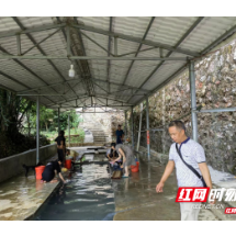 新春走基层｜蝶变正在水源山村上演