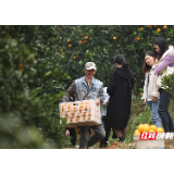 资兴市唐洞街道：冰糖橙飘香，村民采摘忙