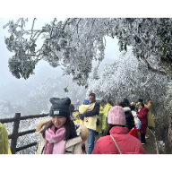 藏不住了！莽山五指峰景区雾凇奇景迎客流小高峰