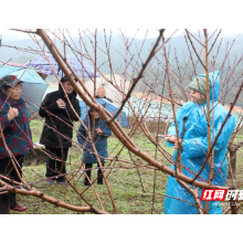 资兴：抓实技术培训 助推移民振兴