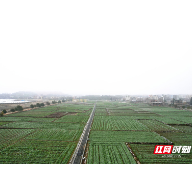汝城：人勤春早农事忙