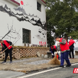 资兴市唐洞街道：党员志愿活动助力乡村“洁净美”