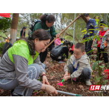 宜章县妇联：亲子携手植树 播种绿色家园