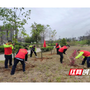 “种下一棵树 守护平安路”郴州高速开展植树节活动