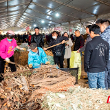 赶分社 | 药香满“仁城” 中草药市场活力满满