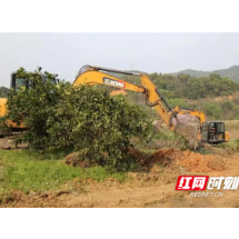 永兴：林果业上山上坡   实现良田“粮种”