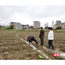 宜章县黄沙镇：下沉一线强监督 守好惠民惠农“钱袋子”