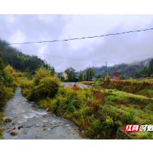 汝城县坪湾村：大山深处兴产业