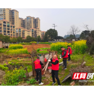 资兴市唐洞街道：开展学雷锋志愿服务活动 助力旅发大会