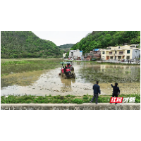 宜章县笆篱镇：抢抓农时不负春