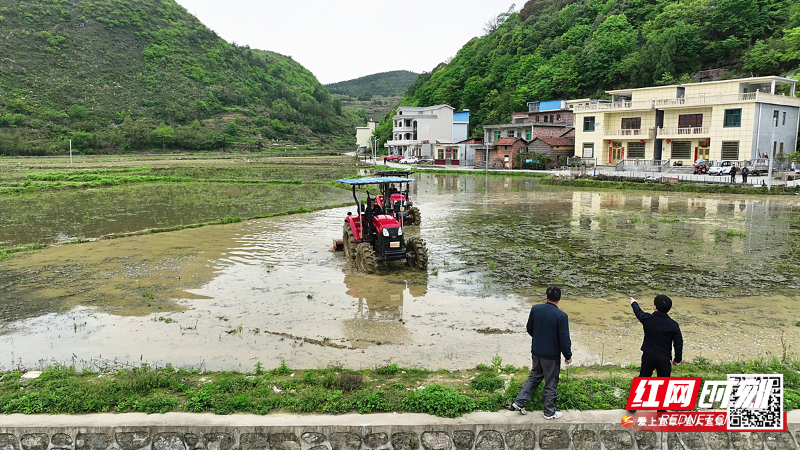 宜章：“田长APP”智慧管田 牢牢守住百姓“饭碗田”