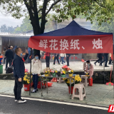 资兴：免费发放鲜花 倡导群众文明祭扫