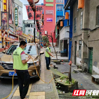 北湖区人民路街道：免费灭蚁服务送上门