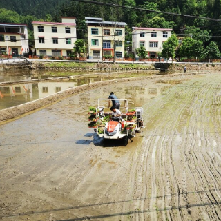 资兴：强化农机技术推广 助力乡村振兴