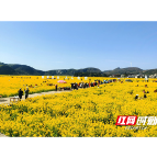 假如高速有色彩  那定是风从南来，绚丽多彩