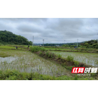 永兴樟树镇：小车间发挥大作用