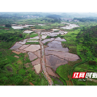 临武：“村企”携手 共建乡村智慧粮仓