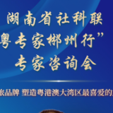 海报 | 助力郴州文旅 7位专家支招了！