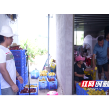 临武：滞销黄桃搭上拥军“暖心车”