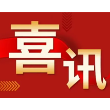 郴州市攀岩代表队，获得四金三银三铜！