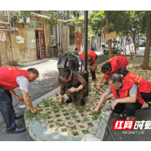 北湖区人民路街道：市民齐动手 共建和美小区