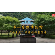 莽山自然博物馆 “小青龙”呆萌模样引客来