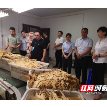 永兴县马田镇：烤烟收购今日开秤