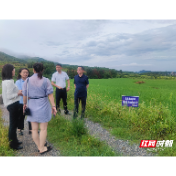 邮储银行临武县支行发放首笔高标准农田建设项目贷款