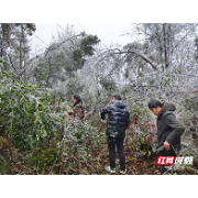 永兴县悦来镇：以动制“冻”守护万家灯火