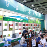 五彩茶展丨品南岳云雾，享健康人生！衡阳茶企组团亮相茶博会