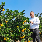 建行郴州市分行：以新金融画笔绘就乡村振兴新答卷