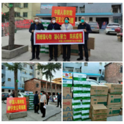 中国人寿财险新宁支公司捐赠防疫物质、组建志愿团队支援抗疫一线