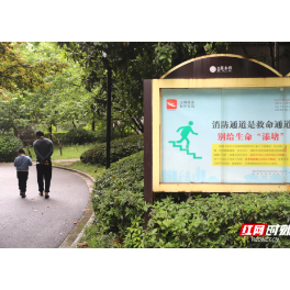 家门口的“蝶变”丨衡阳蒸湘区：楼道里的幸福