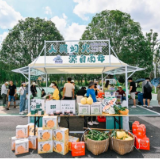 衡阳蒸湘区：雨母山风景区再添一条旅游公路