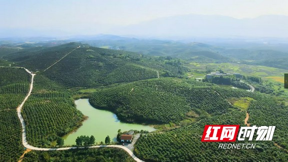 微信图片_20251113232138_1677_23.marked.jpg 微信图片_20251113232138_1677_23.marked.jpg