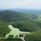 全面推行林长制,加快推动衡南县林业高质量发展