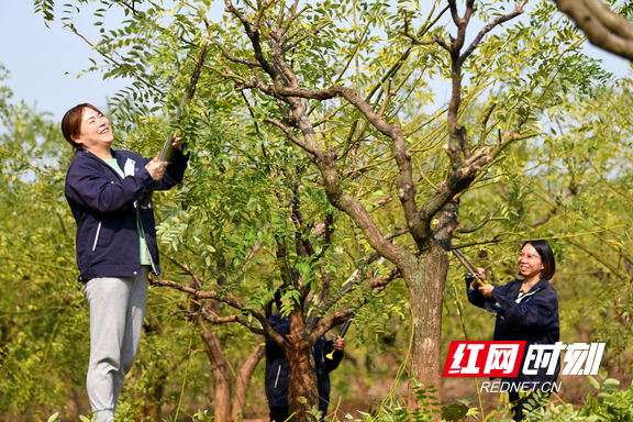 图片19.marked.png