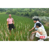 湖南交通工程学院红雁学社“电商+帮扶”赋能模式 助力乡村振兴获帮扶乡镇好评