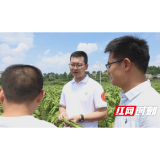 衡阳师范学院来衡阳县开展“入企下乡”科技服务活动