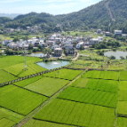 组图丨衡阳蒸湘区：稻浪滚滚 瓜果飘香