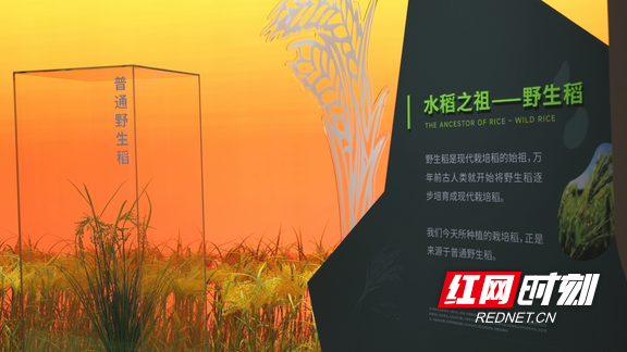图片2.marked.png