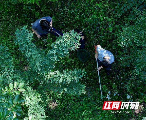 微信图片_2025-07-04_095238_611.marked.jpg