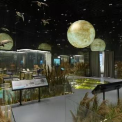 @属马、姓马、名字含“马”的游客！2026年可免费游大雁文化体验馆