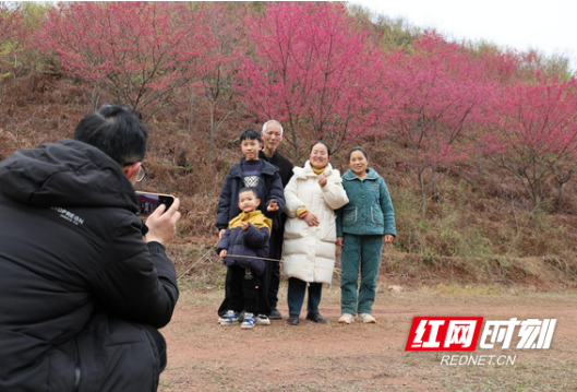 衡山县：樱花盛放 游客踏青打卡正当时