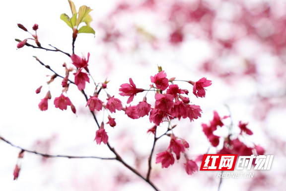 图片2.marked.png 图片2.marked.png