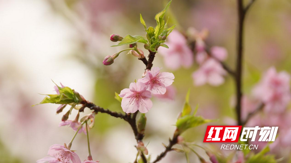 图片4.marked.png 图片4.marked.png