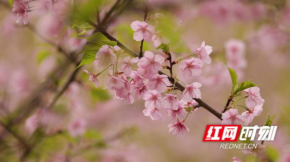 图片3.marked.png 图片3.marked.png