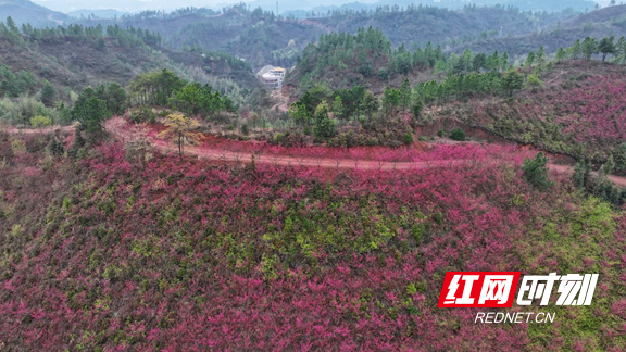 图片6.marked.png 图片6.marked.png