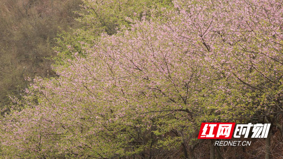 图片5.marked.png 图片5.marked.png