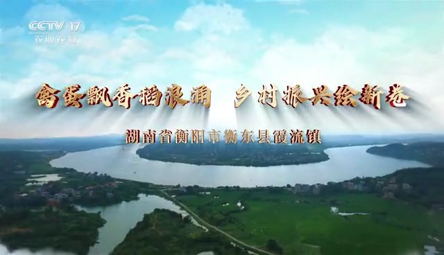 衡东：禽蛋飘香稻浪涌